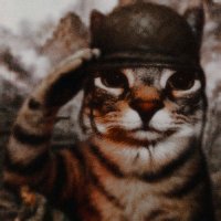 Patachou 🦊 (@patachooux) 's Twitter Profile