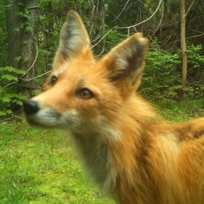 лиза, амбассадорка фк ростов × спортивная фотографиня × wife of janniksin × 5sos × рукино × радфем взгляды, феминитивы, she/her