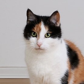 うみたろうさんのプロフィール画像