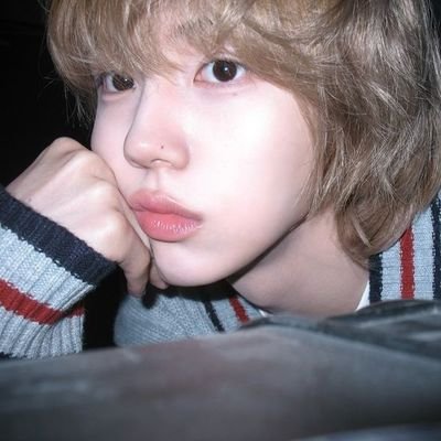 daisukeedaisuki's profile picture. trsr nct svt ahof