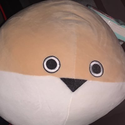 フラッシュ・バン✨⭐️さんのプロフィール画像