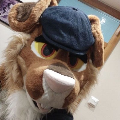 Irish | Grey Wolf 🐺 / Rabbit 🐰 | 20's | Single | Medical Bioinformatic Diagnostician | DM Friendly.
Bunny🪡 - @Rumwolf