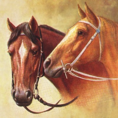 shlu20133's profile picture. Learning to compound