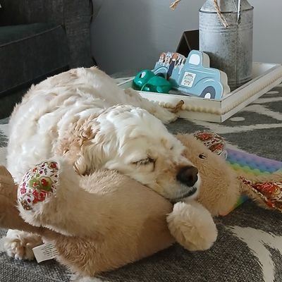 rosabalfamily's profile picture. 