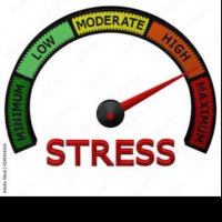 X Stress Test (@x_stress_test) 's Twitter Profile