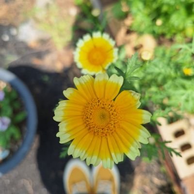 Jl0vFUH4J1PCQBM's profile picture. #힘내라우리조국 본계정 정지될때 쓰는 계정이예요 볼거없어요  
슬픈일 그만 만들고 좋은 기념일만 만들자