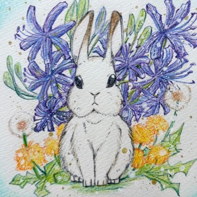 かぐやさんのプロフィール画像
