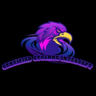 Welcome To The Certificate Cyclone Intercept Team.