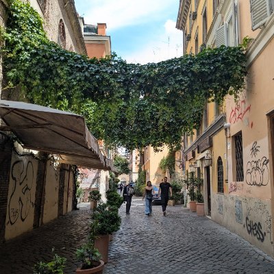 hamidbazzaz's profile picture. 