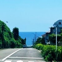 ずくね (@zuzz812) 's Twitter Profile