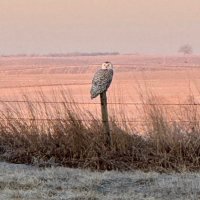 Spencer Williams (@spencer93w) 's Twitter Profile