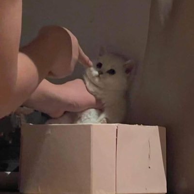 centmost02's profile picture. 