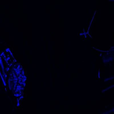 VicroyDominion1's profile picture. no bio yet