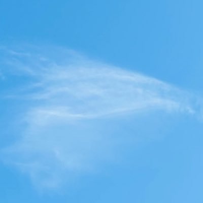 wfran_h's profile picture. 