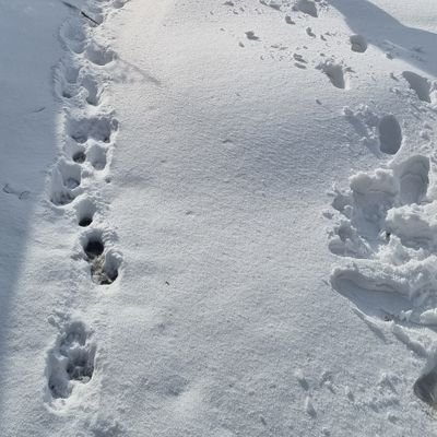 hongseongs5262's profile picture. 