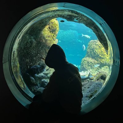 sora_1jz's profile picture. 九州産後期寒冷地チェイサー
神奈川産平成男子オーナー