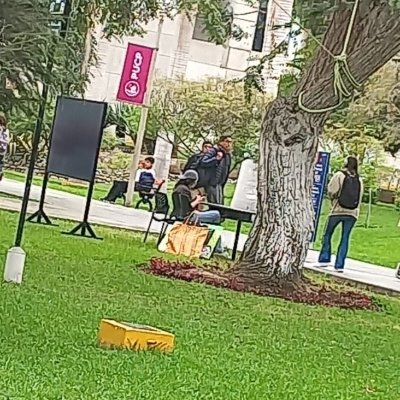 tejada_oyague's profile picture. 1/2 political scientist and 1/2 economist at @pucp.