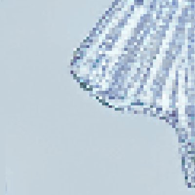 blehさんのプロフィール画像