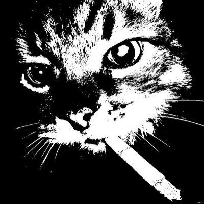 bellitchae's profile picture. caos é o inicio de tudo