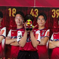 はな (@fagi_43) 's Twitter Profile Photo