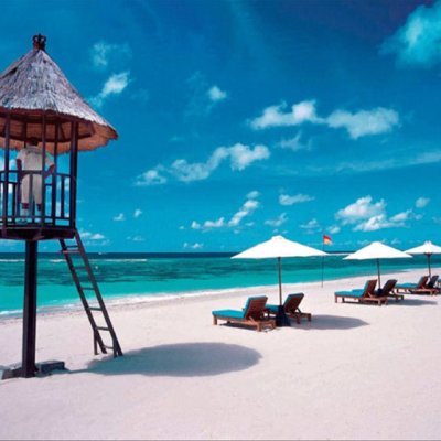 colaxxxz's profile picture. 