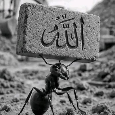 HasbunAllaahu wa Ni'mal Wakeel
Sufficient for us is Allah and He Is the Best
Disposer of affairs.