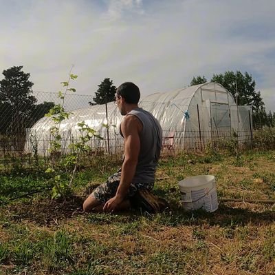 Hace 6 años me fui de Madrid y me vine a vivir al campo. Buscavidas rural.
stocksandtomatoes@autosuficientes.club