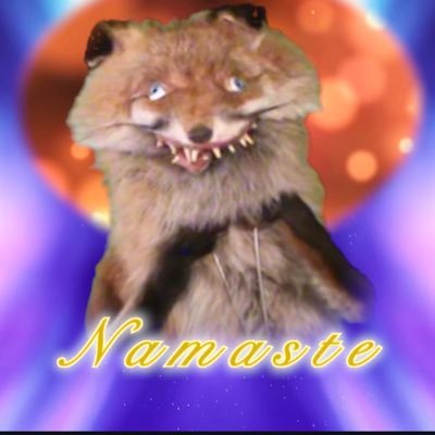 accholacuencana's profile picture. Proudly ecuadorean bien underground💛💙❤️ te insulto en 5 idiomas!