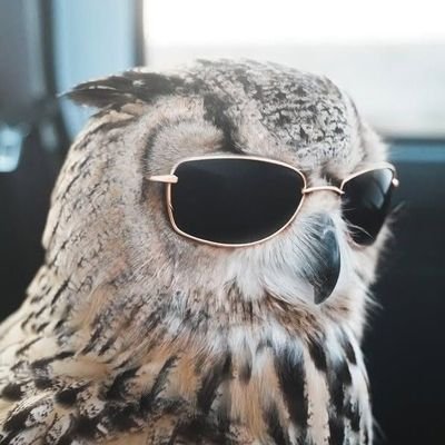 LuisGamingTmさんのプロフィール画像