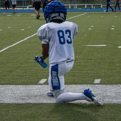 QuaphitD's profile picture. WR @ Glenville State