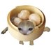 PaneeerMomo (Tandoori Era) (@paneeermomo) Twitter profile photo PaneeerMomo (Tandoori Era) (@paneeermomo) Twitter profile photo
