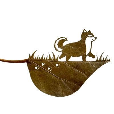 tasan0201's profile picture. 無言フォロー失礼いたします。リポストのみ。情報を得るため、楽しいポストを読むためのアカウントで、相互フォローしておりません。よろしくお願いします。