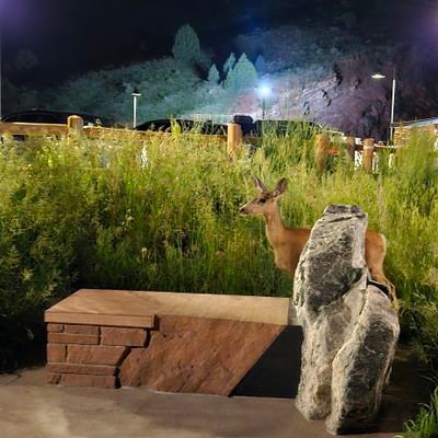 76MJB's profile picture. 