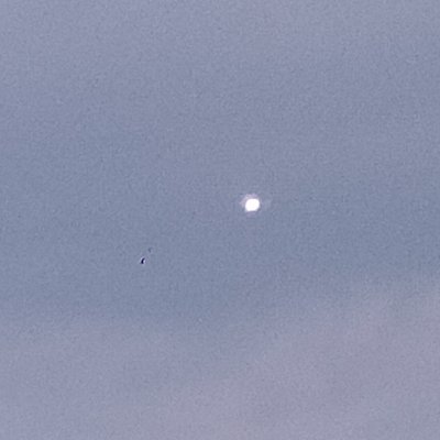 wcbpphi2in21044's profile picture. Student boy