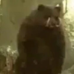 bobbyy_x's profile picture. 