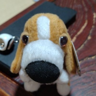 3G0v6kqZEP32224's profile picture. 