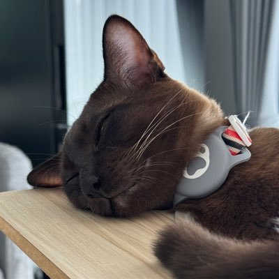 SukinoVerse's profile picture. 💻 Software Engineer who love using Elixir & Phoenix 🐈 ทาสแมว 🎮 Love playing League of Legends 🔥 ✨ ติดดอย #Tezos