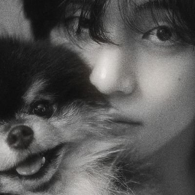qruisjah_kim's profile picture. ╰┈➤ always with @BTS_twt 💜   :¨ ·.· ¨:⠀ 
               ⊹「🍀」⊹ 뷔 –my only constant.   `· .. 7   {she|her}
@conserveturtles 𓆉