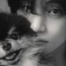 qruisjah_kim's profile picture. ╰┈➤ always with @BTS_twt 💜   :¨ ·.· ¨:⠀ 
               ⊹「🍀」⊹ 뷔 –my only constant.   `· .. 7   {she|her}
@conserveturtles 𓆉