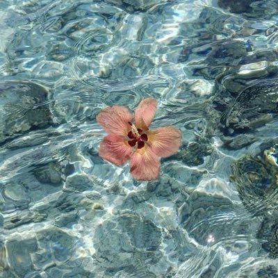 mufimufieiei's profile picture. 