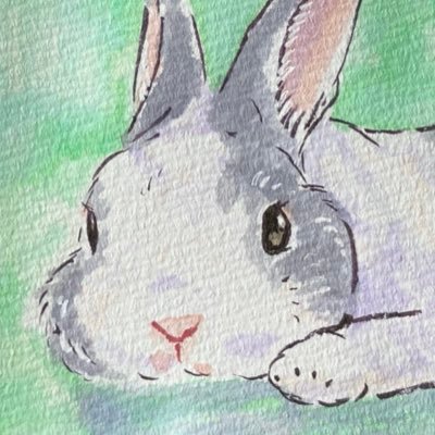 のどか🐰さんのプロフィール画像