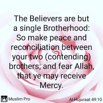 KhudaBande's profile picture. در میان همه مردم، یهودیان و کسانی را که در الوهیت خدا شرک می‌ورزند، می‌یابید که با مؤمنان دشمن‌ترند.(القران)