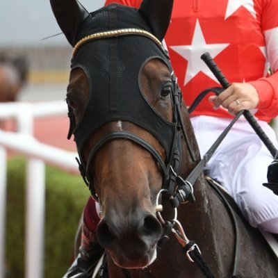 ※アカウントの問題でこちらに引き継ぎました
元競馬番組調教担当のXです。調教時計からPOG2025-2026の推奨馬をnoteにて毎週公開しています
#調教診断 #追い切り診断 #POG鑑定士 #POG #指名 #レース回顧 #勝ち馬 #評価 #結果 #POG2025 #POG2025_2026 #ペーパーオーゲーム