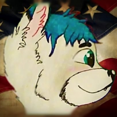 new account. old one got suspended. will not apologize for exercising my right to FREE SPEECH! Also post gay furry NSFW here and there. ULTRA MAGA!