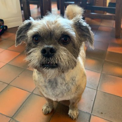 DuffShire's profile picture. 