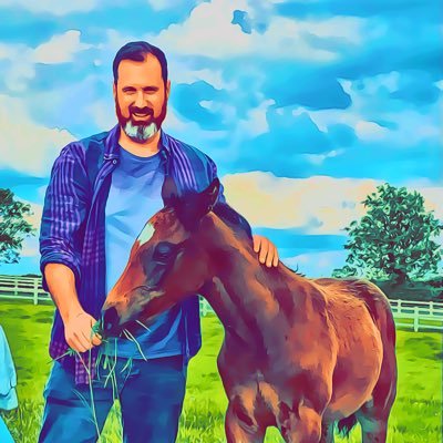 Horse Racing Analyst 👨🏻💻| Tipster for SureWin ✍️| Your trusted source for horse racing predictions & advice 🇬🇧🇮🇪🇫🇷 My FREE tips on @mypaddockpicks_