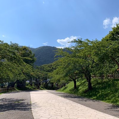 hiiiikooooo's profile picture. 