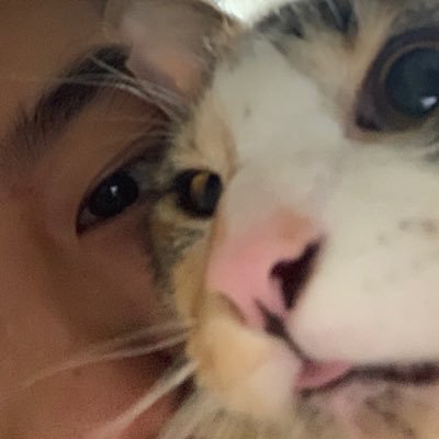 ffebbyfc's profile picture. 