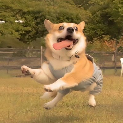 JodyWai192752's profile picture. 