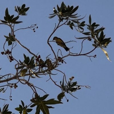 mm4mm_1's profile picture. adventurer